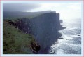 Thumbs/tn_puffin03.jpg