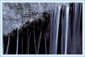 Thumbs/tn_was31.jpg
