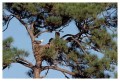 Thumbs/tn_weisskopf06.jpg