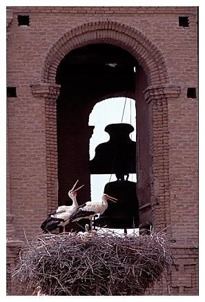 ../Images/wesstorch34.jpg