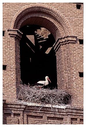 ../Images/wesstorch35.jpg