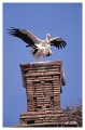 Thumbs/tn_wesstorch23.jpg